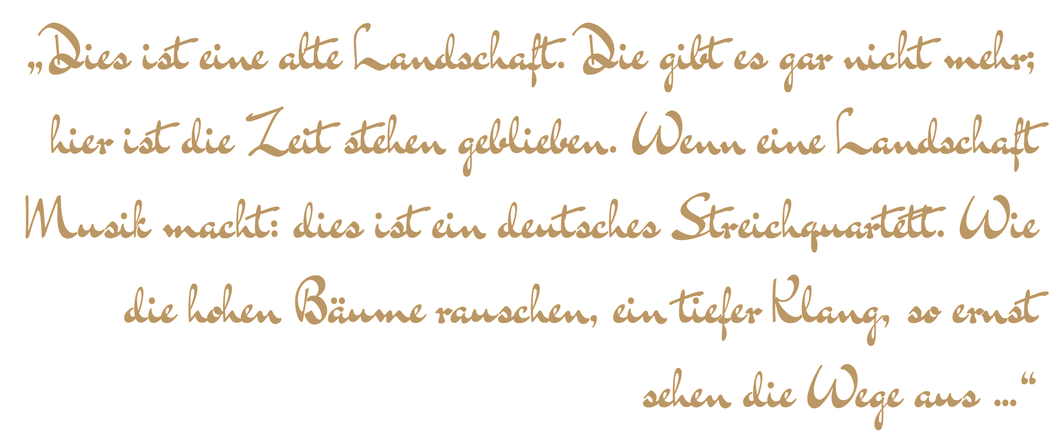 Dies ist eine alte Landschaft. Die gibt es gar nicht mehr; hier ist die Zeit stehen geblieben. Wenn eine Landschaft Musik macht: dies ist ein deutsches Streichquartett. Wie die hohen Bäume rauschen, ein tiefer Klang, so ernst sehen die Wege aus …